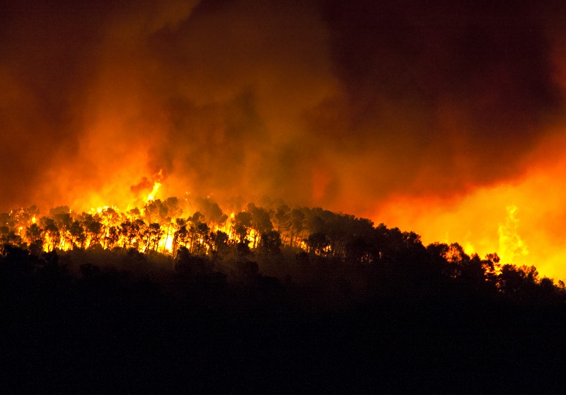 heh botnet wiper malware