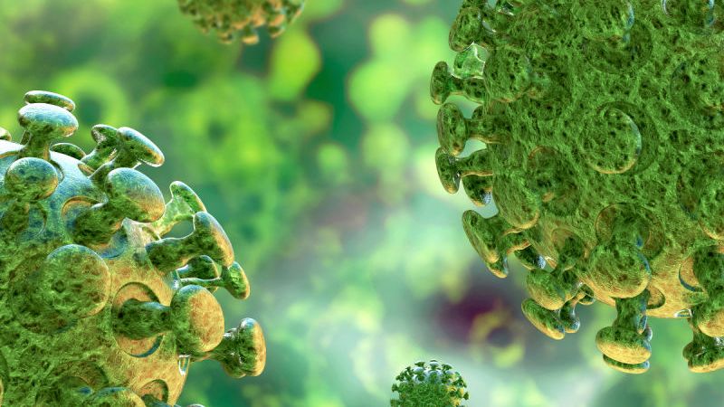 covid-19 vaccine maker data breach