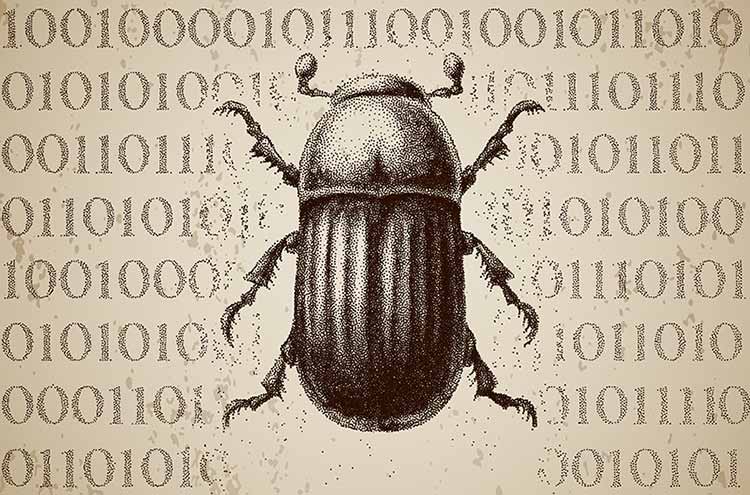 bug bounty program Casey ellis bugcrowd