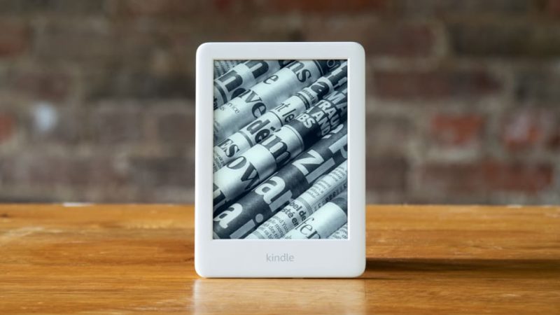 kindle e-reader bugs