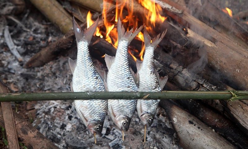 Microsoft Office 365 Attacks Sparked from Google Firebase