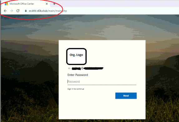 Fig.5 - Fake credential input page