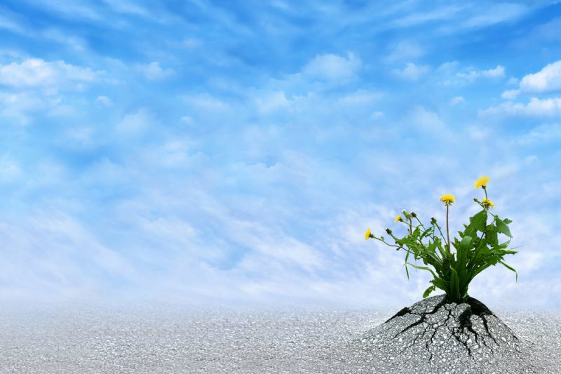 What a Year It’s Been: RSA 2021 Embraces ‘Resilience’