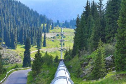 Pipeline Update: Biden Executive Order, DarkSide Detailed and Gas Bags