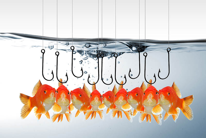 Large-Scale Phishing-as-a-Service Operation Exposed