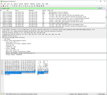 Windows 10 version 21H1