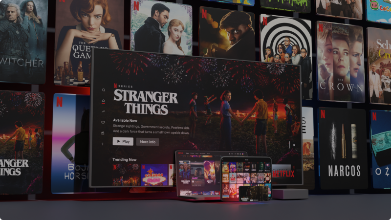 Netflix Bait: Phishers Target Streamers with Fake Service Signups