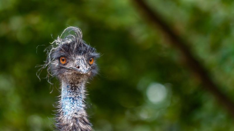 Rooting Malware Is Back for Mobile. Here’s What to Look Out For.