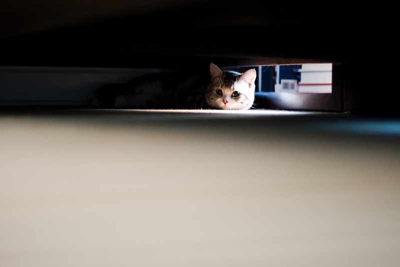 Critical Apache HTTPD Server Bugs Could Lead to RCE, DoS