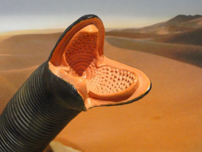 ‘Seedworm’ Attackers Target Telcos in Asia, Middle East