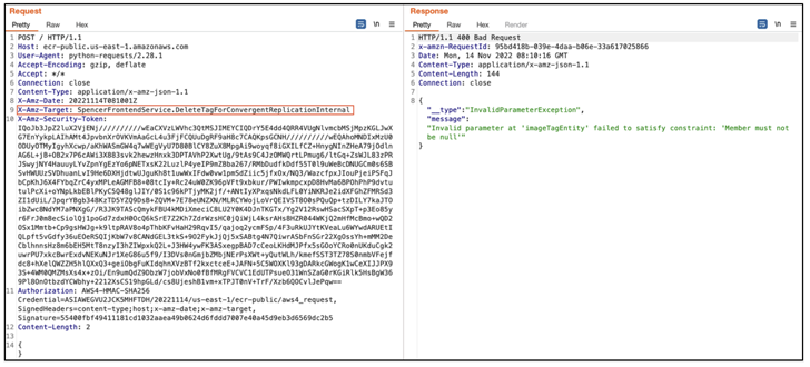 Amazon ECR Public Gallery Vulnerability Amazon ECR Public Gallery Vulnerability