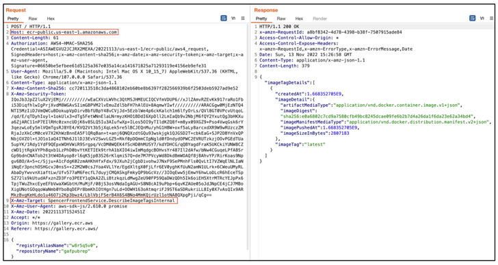 Amazon ECR Public Gallery Vulnerability Amazon ECR Public Gallery Vulnerability