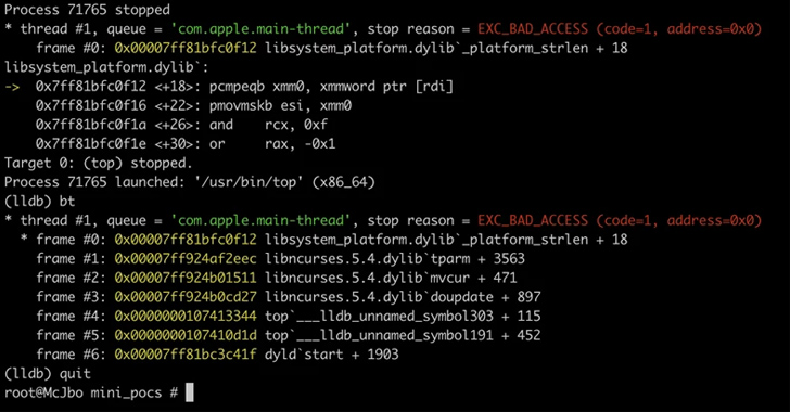 Linux and macOS Systems
