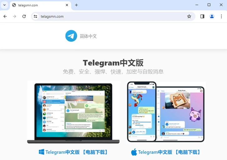 Malicious Ads on Google Malicious Ads on Google