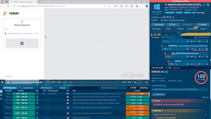 Dynamic Malware Analysis