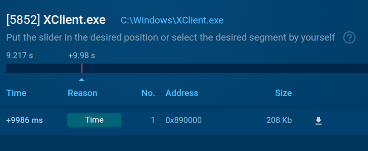 Dynamic Malware Analysis
